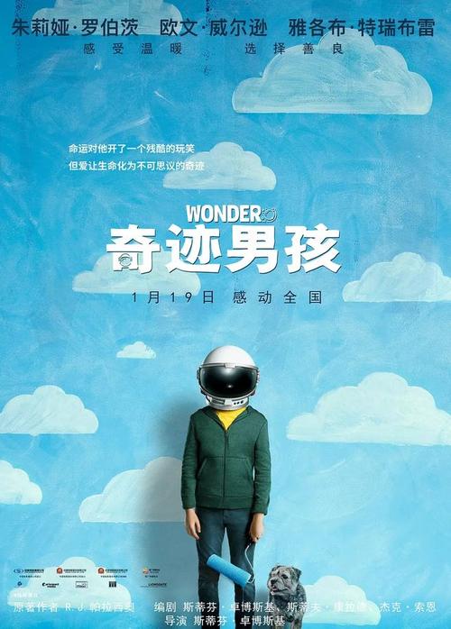 罗维拉-威尔吉利大学本科学位证